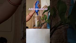 How to make vetiver oil for fast hair growth hairgrowthoil growhairfast vetiveroil stophairfall [upl. by Agustin]