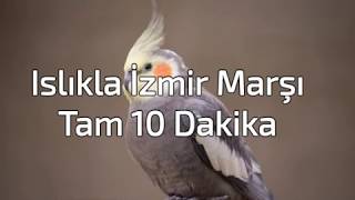 Islıkla İzmir Marşı  Sultan Papağanı İzmir Marşı Eğitimi  Tam 10 Dk [upl. by Joselow]