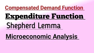 Compensated Demand Function Expenditure Function Shepherd Lemma Microeconomic Analysis mec101 maec [upl. by Cappella]