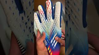 Adidas Goalkeeper Gloves Unboxing [upl. by Ahens]