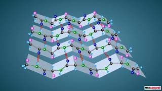 Proteins and their Structure [upl. by Ardnak]