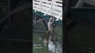 Что вообще происходит 😂 fishing carp рыбалка carpfishing карп рыбалка2024 carps рек fish [upl. by Eenel]