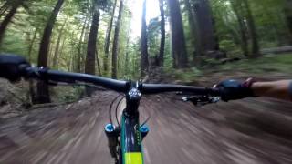 The Fun Parts of Skeggs Point  MTB [upl. by Esadnac617]