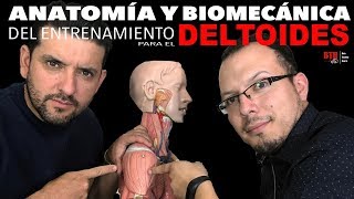 ENTRENAMIENTO DE DELTOIDES  ANALISÍS BIOMECÁNICO Y ANATÓMICO [upl. by Seldon627]