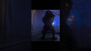 Predator Devourers show Stealth Freefall Demolition and Mental Anguish 4K edit predator2 wolf [upl. by Trevor]