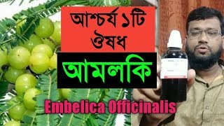 আশ্চর্য একটি হোমিওপ্যাথি ঔষধ আমলকি  Amalaki Q  Embelica Officinalis Q homeopathic medicine uses [upl. by Mundy]