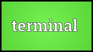 Terminal Meaning [upl. by Ilam]