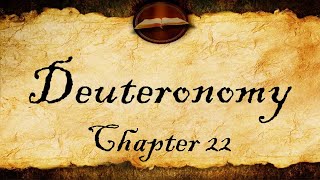 Deuteronomy Chapter 22  KJV Bible Audio With Text [upl. by Nyleaj332]