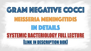 Neisseria Meningitidis Meningococci  virulence factorsClinical manifestations Lab diagnosis [upl. by Ulrich615]