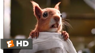 Dolittle 2020  Squirrel Surgery Scene 210  Movieclips [upl. by Nlycaj]