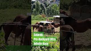 Salardú pre Backyard Ultra Infinite race [upl. by Barra]