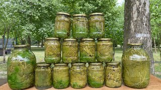 The simplest way to preserve grape leaves fresh for 12 months for the winter [upl. by Chilson]