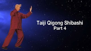 Taiji Qigong Shibashi  Section 4  Simon Blow Qigong  Art of Life [upl. by Moyra]