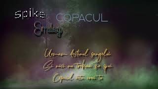 Spike Smiley – CopaculVersuri [upl. by Nitsyrk]