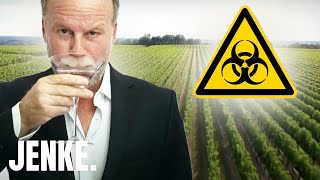 Glyphosat im Drink Wie verseucht sind Wein amp Bier  JENKE DAS FOODEXPERIMENT [upl. by Kalk]