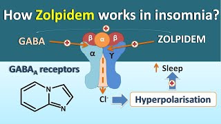 How Zolpidem works in Insomnia [upl. by Donovan843]