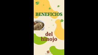 Propiedades y beneficios del hinojo la infusión digestiva [upl. by Hodosh]