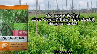 DuPont kocide ಕನ್ನಡದಲ್ಲಿ ಸಂಪೂರ್ಣ ಮಾಹಿತಿ  ಮಳೆಗಾಲದ ರೋಗಗಳ ನಿರೋಧಕ [upl. by Claudian]