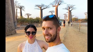 La avenida de los baobabs  MADAGASCAR 🇲🇬 [upl. by Ludovico502]