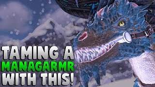 Managarmr Taming Glitch Using the Rock Drake  Ark Survival Evolved [upl. by Niliac]