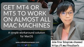 Get MT4 or MT5 to work on almost all MacOS The simple workaround 100 working [upl. by Luella]