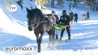 The Traditional Winter Sport Of Skijoring [upl. by Otreblide523]