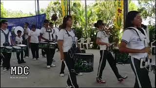 Pellicer Marching Band [upl. by Singband]