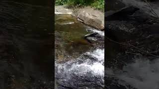 nadhiye nadhiye kadhal 🌊nature beauti 💐ytshorts youtubeshorts viralshots viralshots [upl. by Josefa]