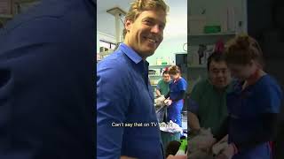 HUGE Hanging Cyst On Dogs Rear 😱  Bondi Vet shorts [upl. by Noble]