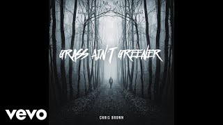 Chris Brown  Grass Aint Greener Audio [upl. by Selin]