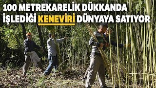 Keneviri Dünyaya Satıyor Bölgemizin Tohum İhtiyacını Karşılamak İstiyoruz [upl. by Lleval]