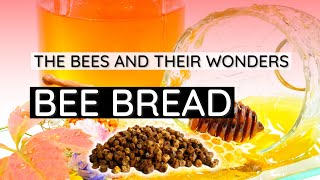 BEES AND THEIR WONDERS BEE BREAD [upl. by Abigale507]