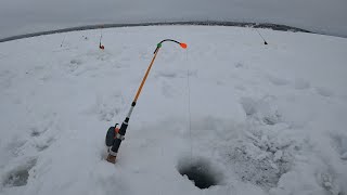 СНЕГОХОДЫ ТОНУТ НА ОЗЕРАХ ЗНАЧИТ РЫБАЧИМ НА ДАМБЕ  ice fishing [upl. by Allenrad316]