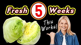 How to Keep Lettuce Fresh This Pro HACK You Cant Ignore 🥬 [upl. by Nagel]