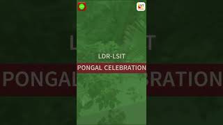 Pongal Celebration at LDR Survey Pvt Ltd amp Ladder Survey Institute of Technology PongalCelebration [upl. by Takashi]