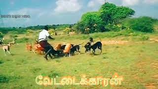 😈🔥🐕‍🦺🐇 rabbit hunting chippiparai dogs kannidogs vettaistatus 👿👿💯💯 [upl. by Madancy]