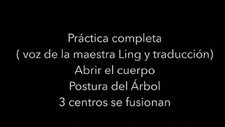 Práctica muy profunda guiada por la maestra Ling zhinengqigong [upl. by Atiuqnahs]