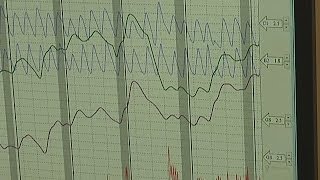 How it Works Polygraph Test [upl. by Anirret]