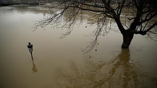 Paris em alerta com as águas do Sena [upl. by Nellac137]