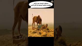 استلقى الزوجان على الأرض وتظاهرا بالموت لينجوا من أنثى الأسد Shorts فلم movie قصة film ملخص [upl. by Westhead]