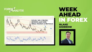 Weekly Forex Forecast October 15th 2023 GOLD VIX CRUDE BONDS and MXN Show Market is Nervous [upl. by Ymorej]