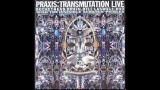 Full Album Praxis  Transmutation Live [upl. by Themis780]