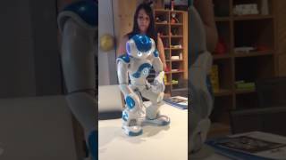 Nao robot introduces himself and blips [upl. by Zillah]