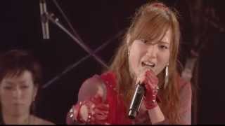 LoVendoЯ『The 美学』Live ver [upl. by Pardoes]