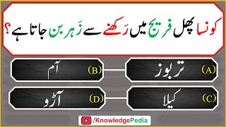 islami Urdu Paheliyan  Islamic Riddles  اسللامی سوال جواب اور معلومات  islamic Questions 621 [upl. by Radke]