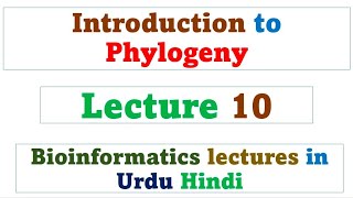 Introduction to phylogeny  Bioinformatics  Lecture 10 [upl. by Amla934]