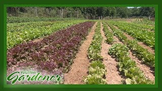 Biodynamic vs Organic Farming Practices  Volunteer Gardener [upl. by Anivlac662]