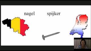 The difference between Flemish and Dutch [upl. by Annaj]