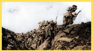 Letters from the Front  A Firsthand Account of World War I Trench Warfare [upl. by Eneliak]