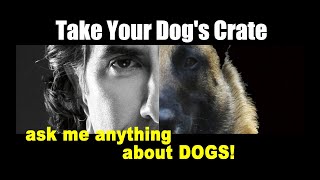 Should I Bring My Dogs Crate on Trip  ask me anything  Dog Training Video [upl. by Euginom905]